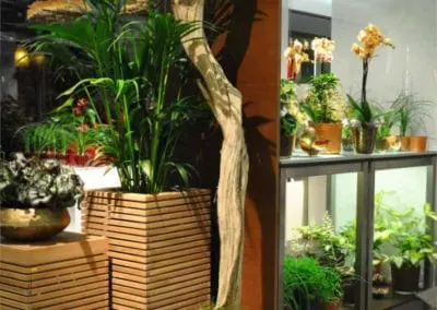 Blumen Speth Pflanzen Accessoires