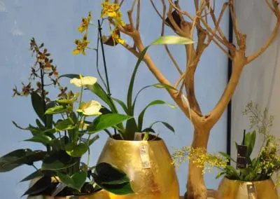 Gold Macht Weihnachtlich