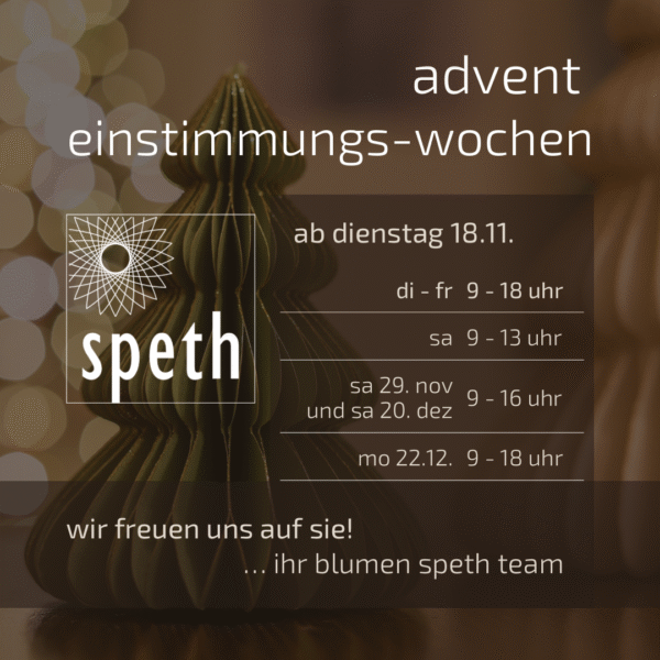 Speth advent 2025