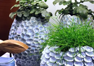 Uebertoepfe Mit Muscheln